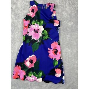 Vince Camuto Dress 10 Blue Pink Green‎ Floral Stretch Career Church Washable